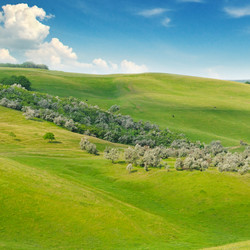 Similar image 10864340