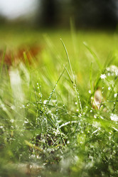 Similar image 10863970