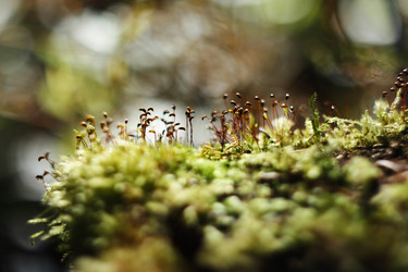 Similar image 10863972