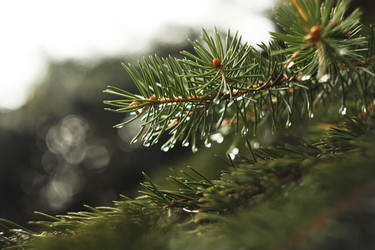 Similar image 10863988