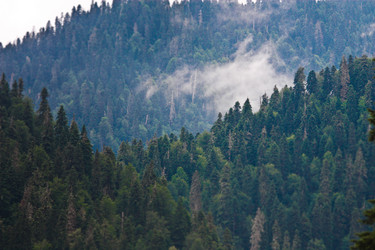 Similar image 10864008