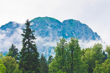 Similar image 10864009