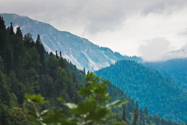 Similar image 10864010