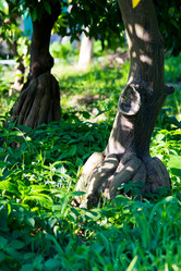 Similar image 10864011