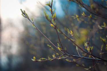 Similar image 10864015