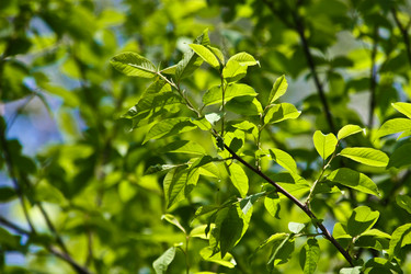 Similar image 10864016