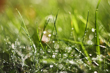 Similar image 10864018