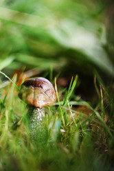 Similar image 10864019