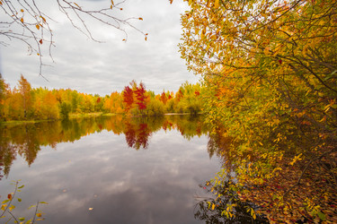 Similar image 10863381