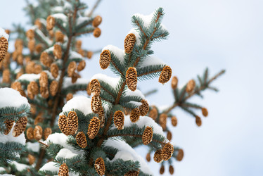 Similar image 10864052