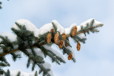 Similar image 10864053