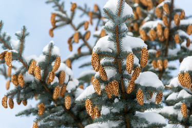 Similar image 10864054