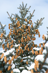 Similar image 10864057