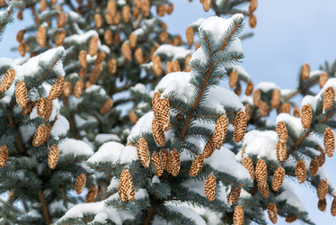 Similar image 10864058