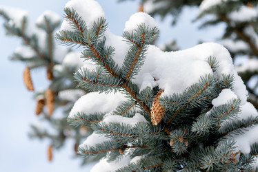 Similar image 10864059