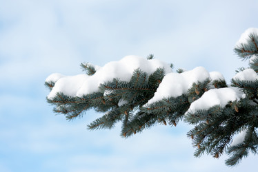 Similar image 10864060