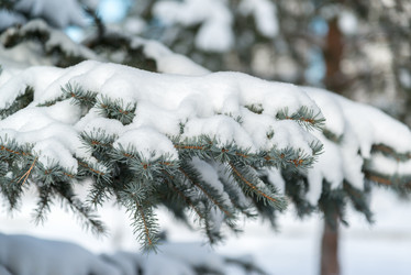 Similar image 10864061