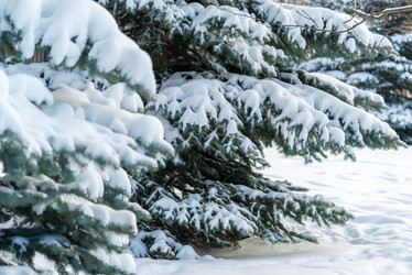 Similar image 10864062