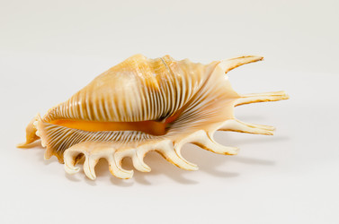 Similar image 10863330