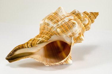 Similar image 10863331