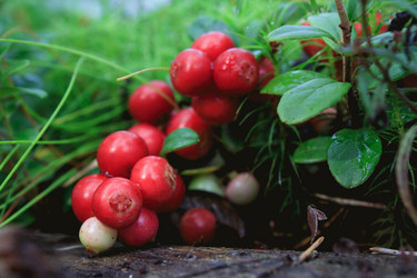 Similar image 10863368