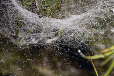 Similar image 10863344