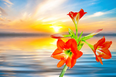 Similar image 10864187