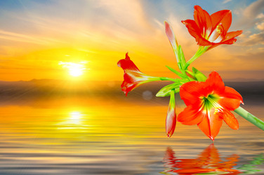 Similar image 10864188