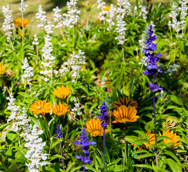 Similar image 10864189