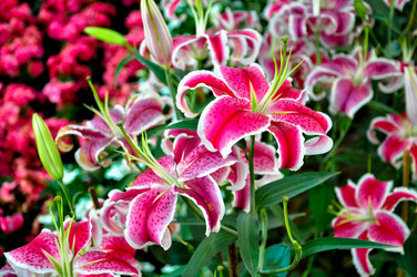 Similar image 10864213