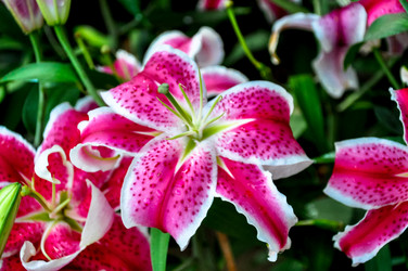 Similar image 10864215