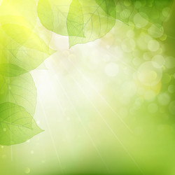 Similar image 10868071