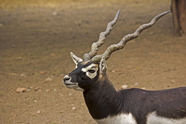 Similar image 10865224