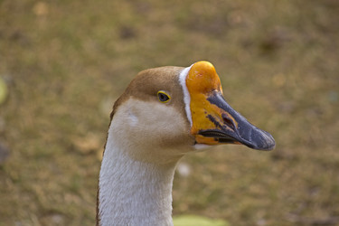 Similar image 10865251