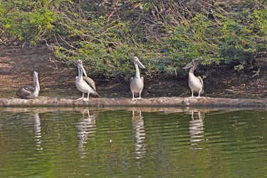 Similar image 10865290