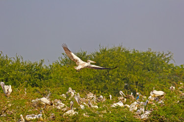 Similar image 10865291