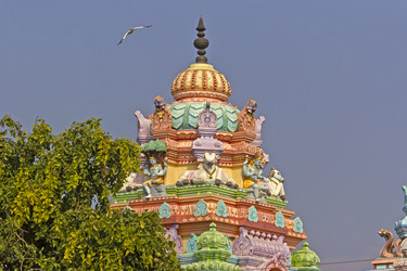 Similar image 10865296