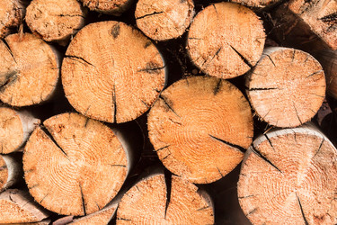 Similar image 10863255