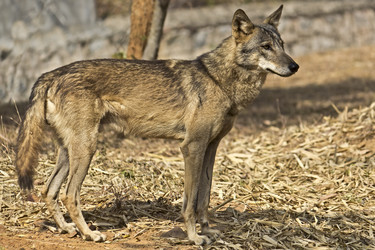 Similar image 10865394