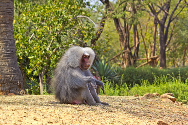 Similar image 10865395