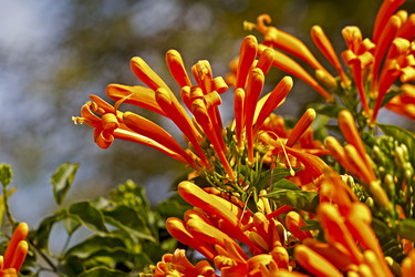 Similar image 10865402