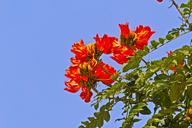 Similar image 10865403