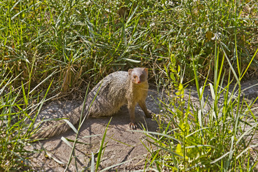 Similar image 10865148