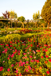 Similar image 10883258