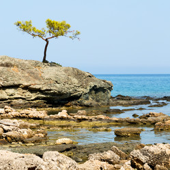 Similar image 10883409