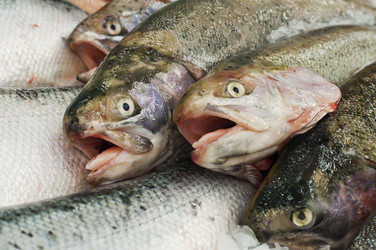 Similar image 10864171