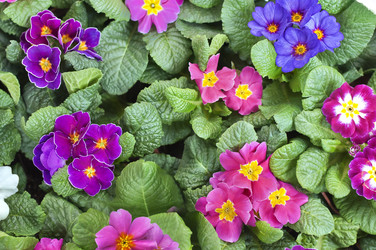 Similar image 10864294