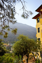 Similar image 10864302