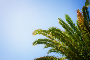 Similar image 10865090