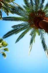 Similar image 10865091